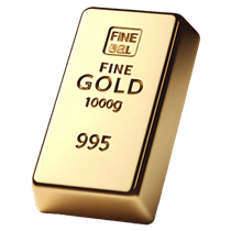 5 Gram 24 Ayar 995.0 Külçe Altın